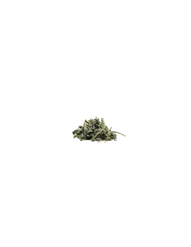 Forest mint 60 g