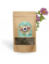 Cistus incanus, a powerful antioxidant 
