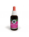 Huanarpo Macho root extract, a natural male stimulant popular in Peru