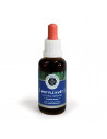 Butterfly Flower Extract or also Clitoria has the ability to accentuate and revive dreams and promote lucid dreaming.