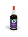 Grape seed extract containing resveratrol