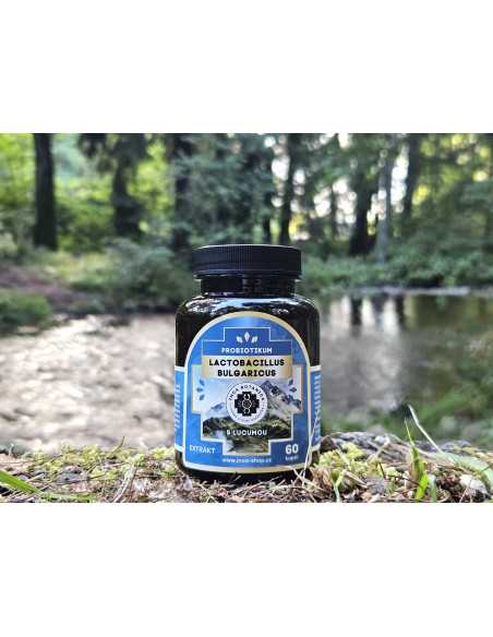 Lactobacillus bulgaricus with lucuma 60 capsules