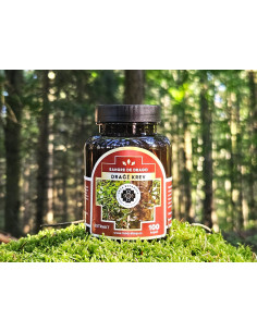 Dragon's Blood 100 capsules 2