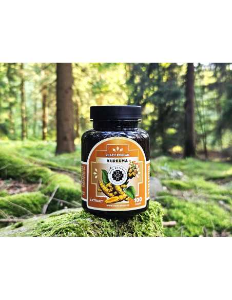 Kurkuma 100 Kapseln